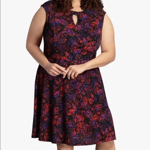 Sabrina Collective Cap Sleeve Fit and Flare Dress